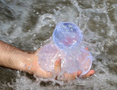 living in the water